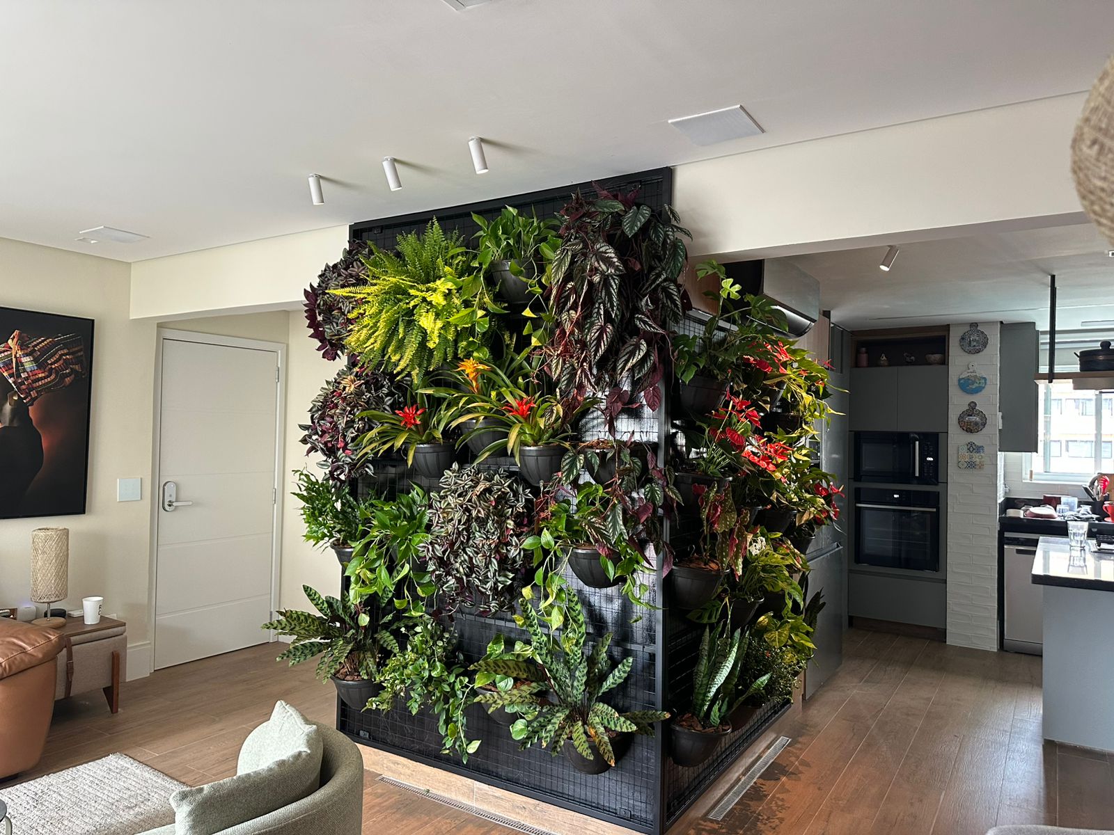 Divisória de jardim vertical entre sala e cozinha