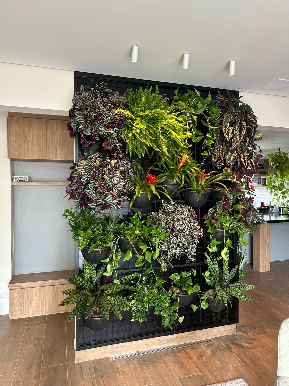 Divisória de jardim vertical - São Paulo/SP